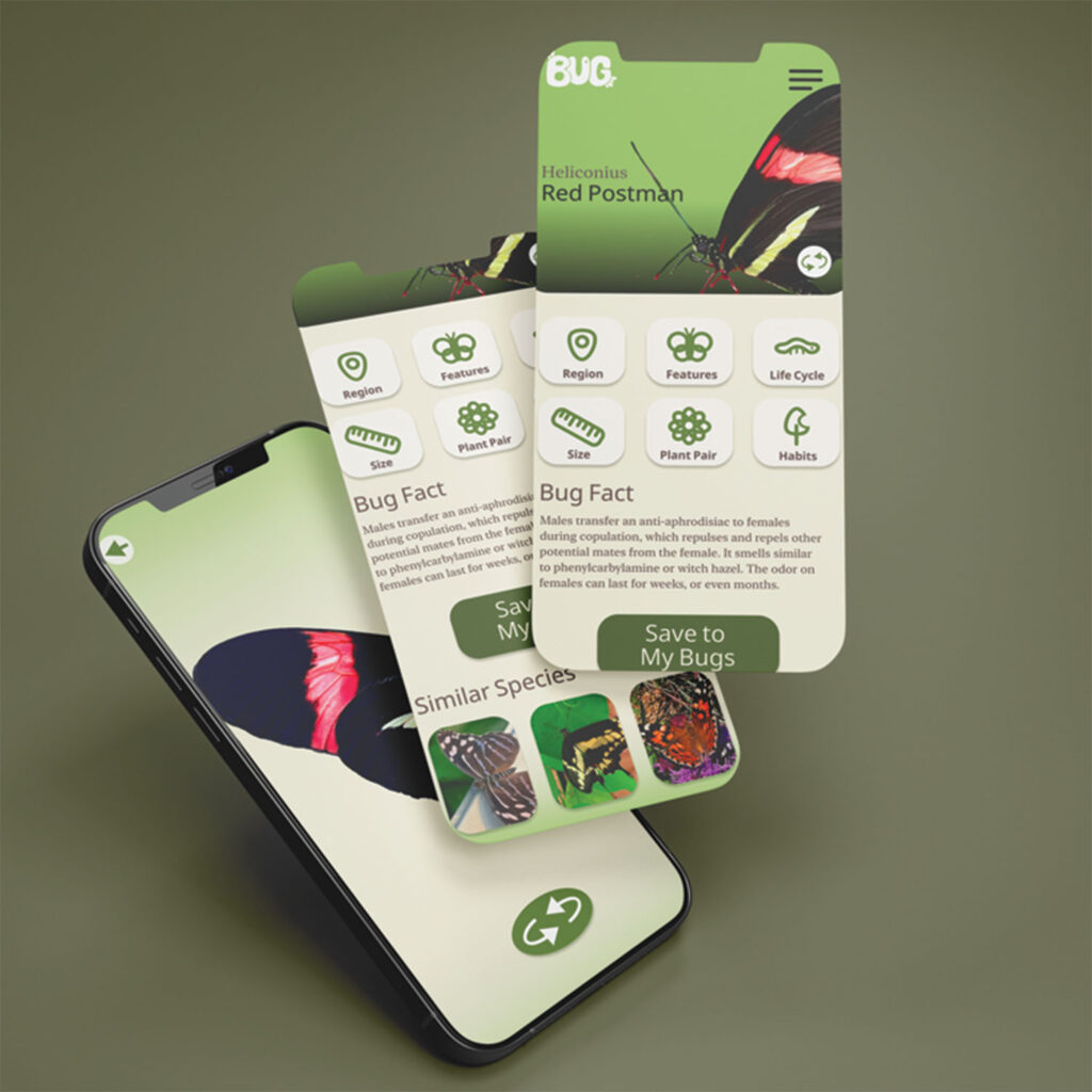 1 1 ratio bug app@2x