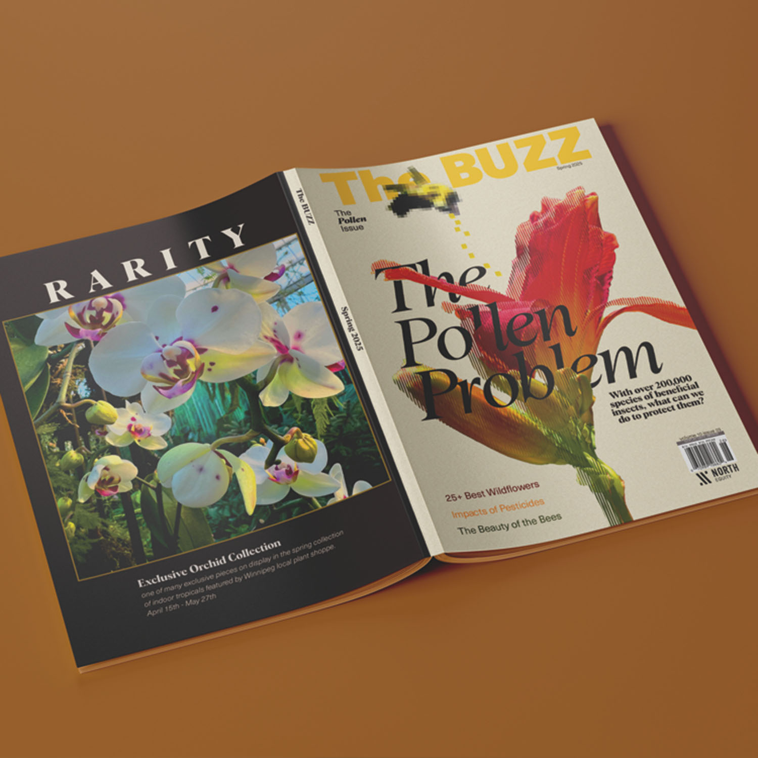 1 1 ratio thebuzz@2x